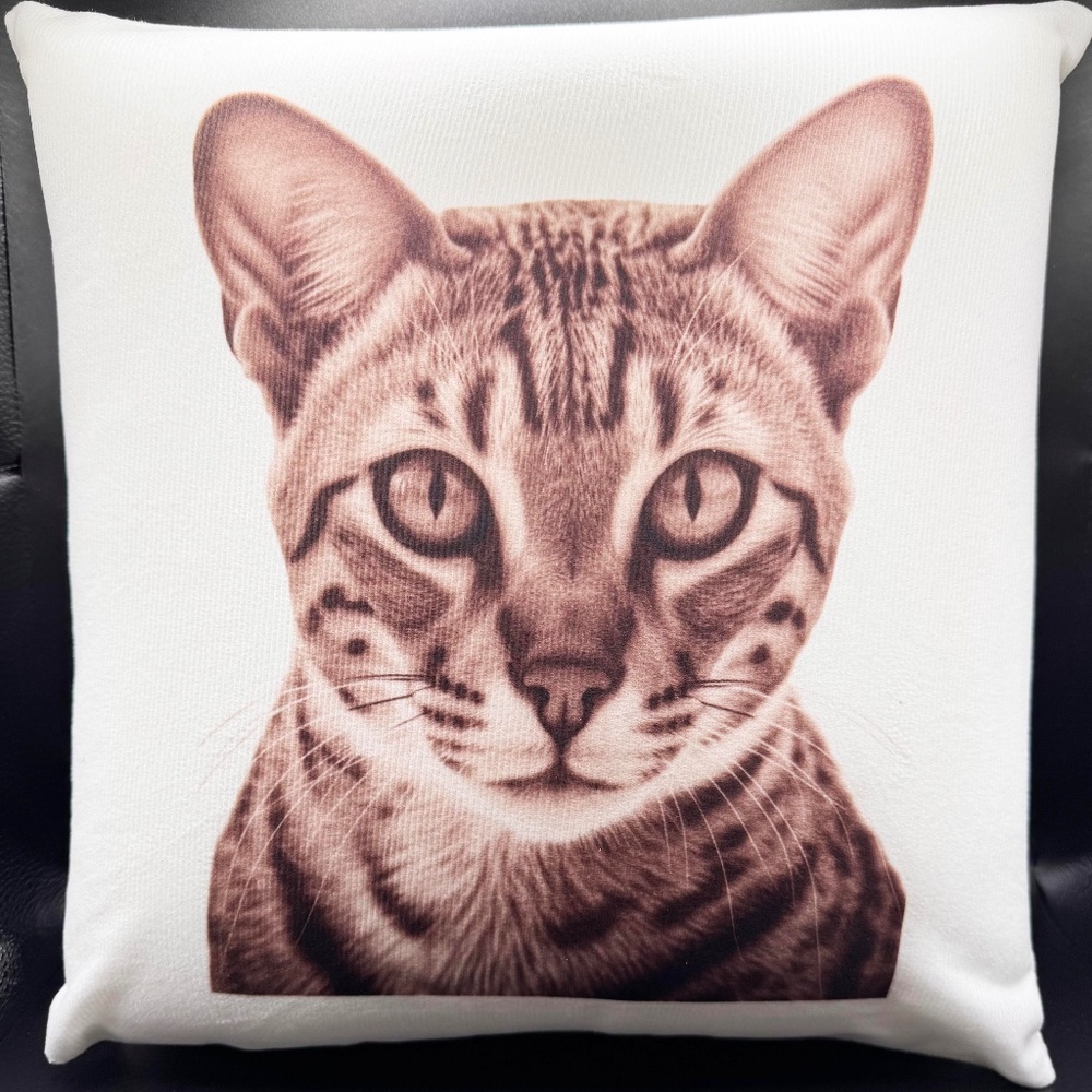 B&W Pressure Activated Massage Pillow